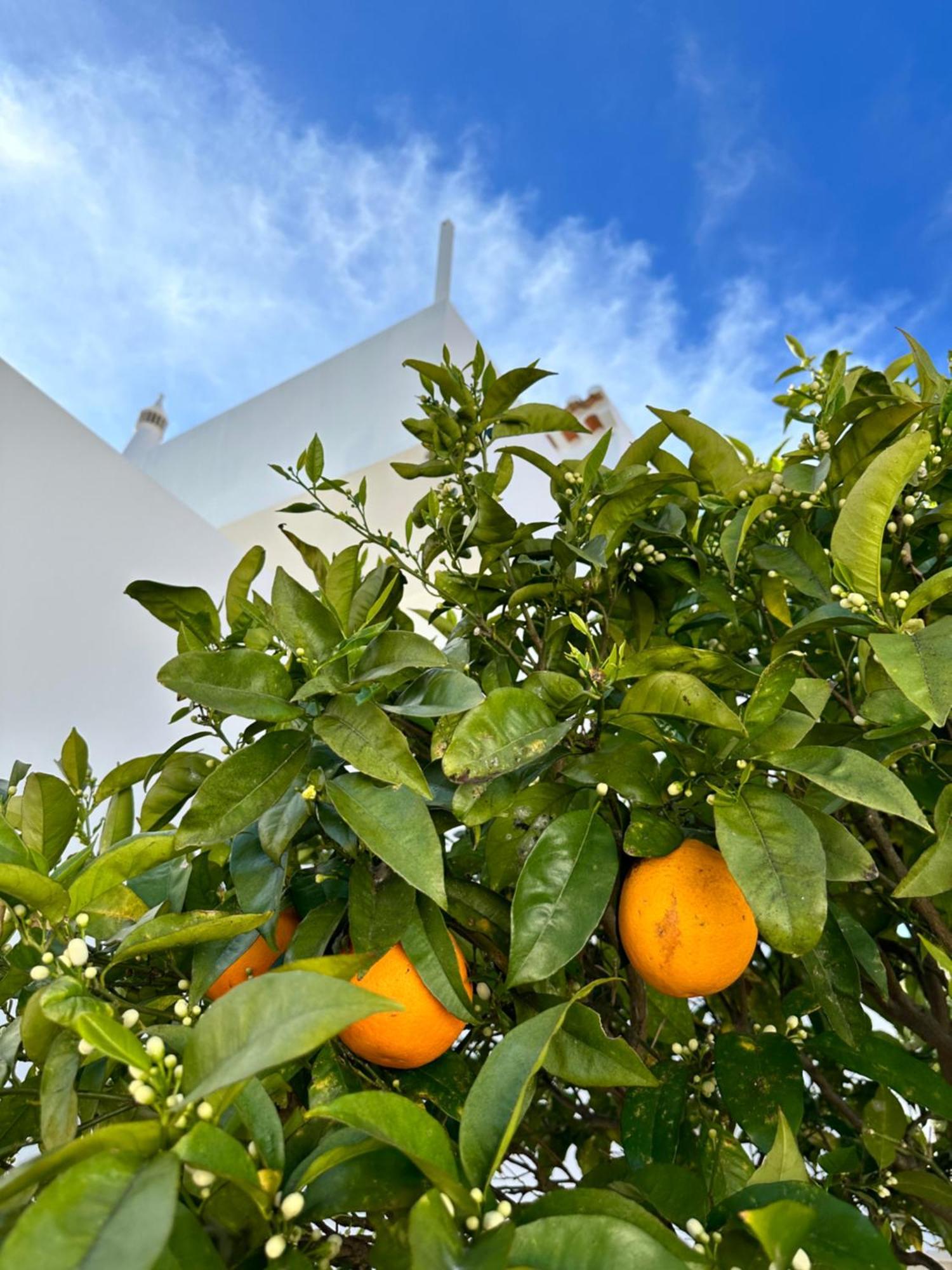 Casa Malia Luxury Guest House Luz Exterior foto
